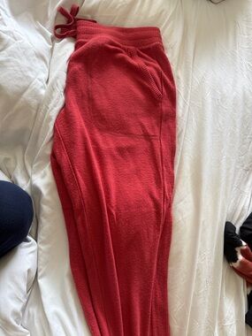 PJ Salvage Crimson Knit Jogger Pants